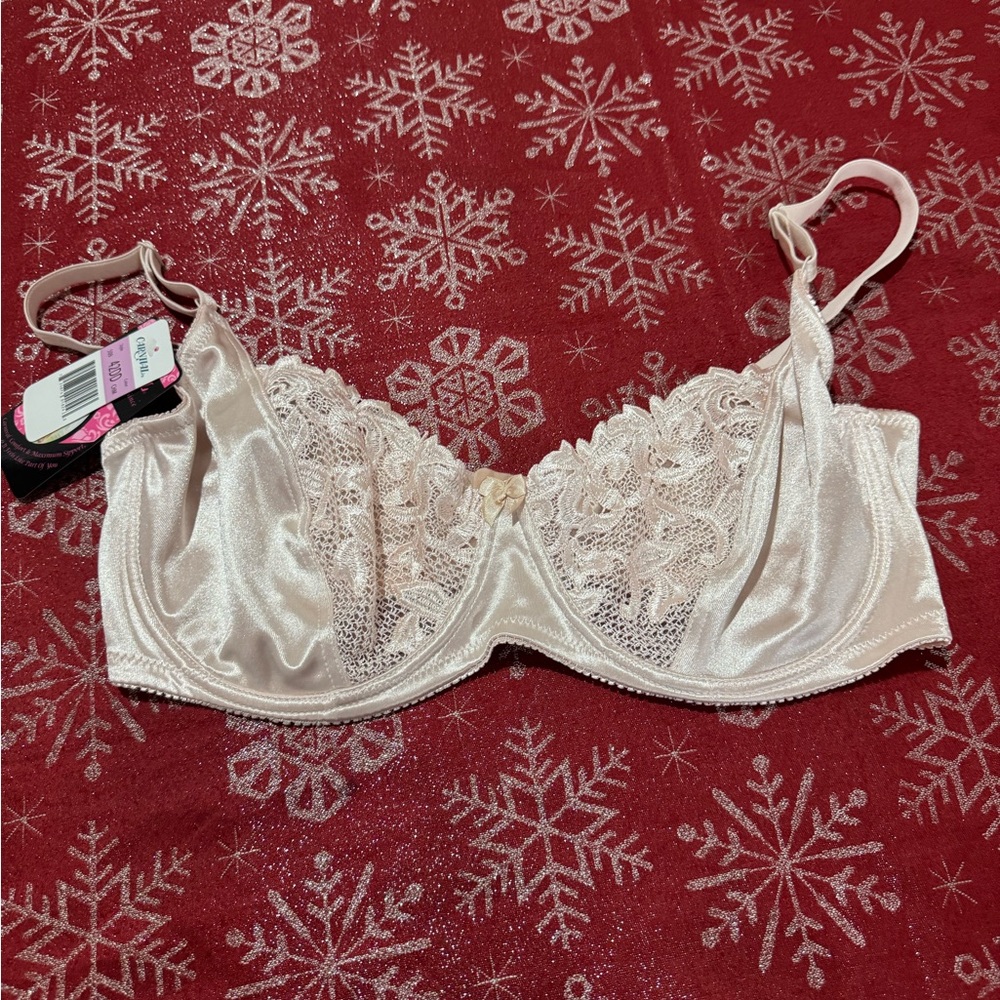 Elegant Lace Satin Bra in Cream